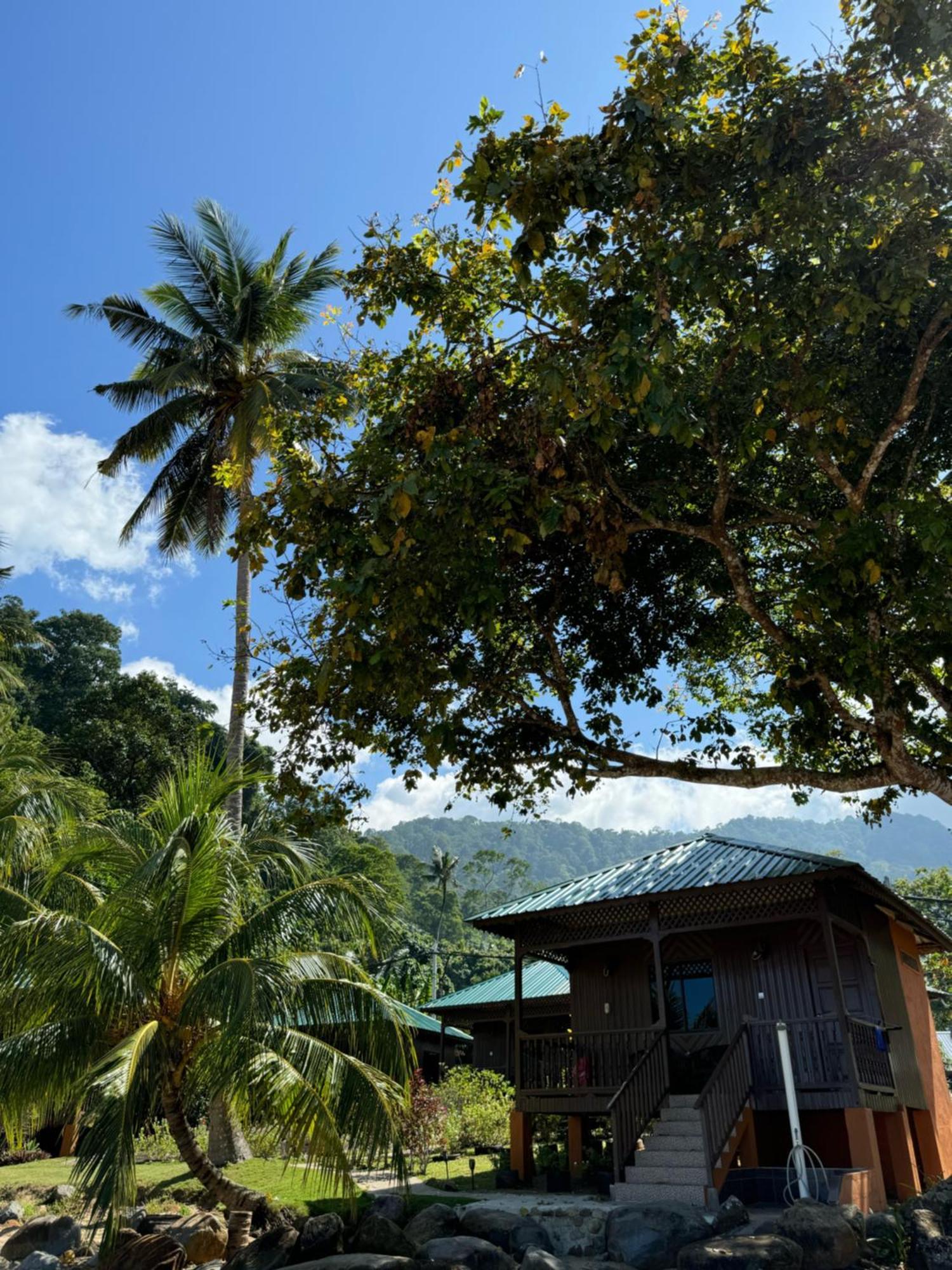 Abc Chalet Tioman Kampong Ayer Batang Екстериор снимка